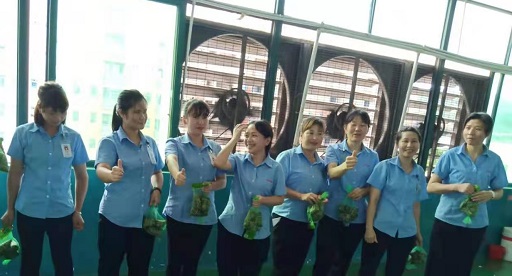葫芦娃视频看片官网下载新能源锂葫芦娃老旧版本大全厂家,向组装pack生产线发放端午福利